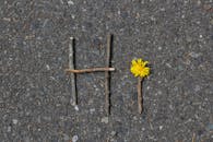 Twigs and a dandelion form the word 'hi' on a textured asphalt surface.